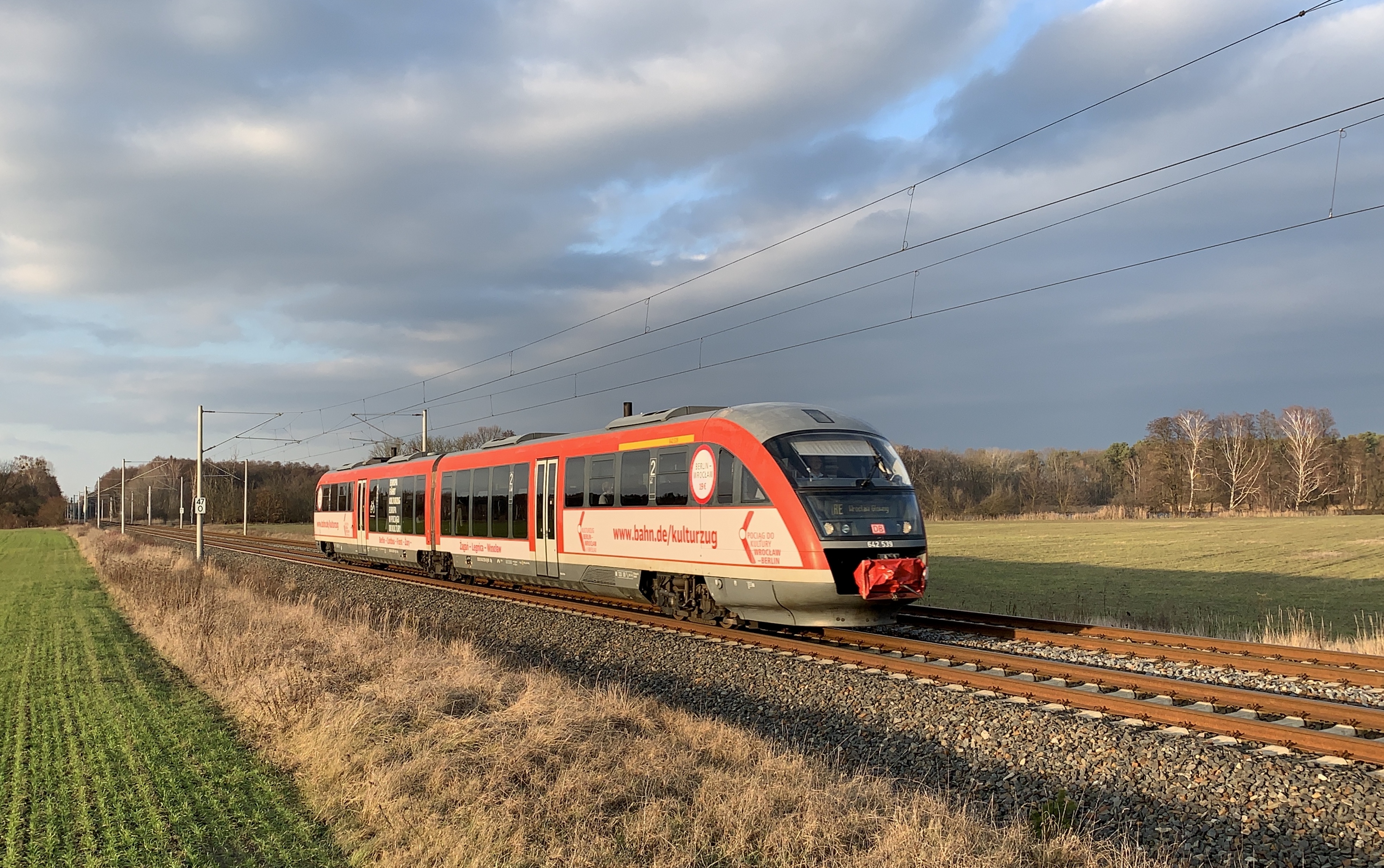 Guest on the Train to Culture: Kreisau/Crossroads