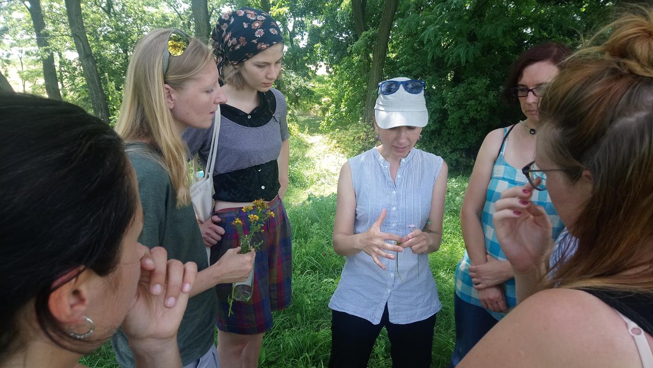 Nature workshops for the Foundation's employees - Krzyżowa, 1.07.2019 (PHOTO)