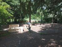 IMG20250523113920