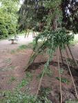 IMG20250524153034