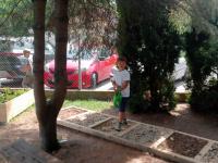 IMG20250617145855