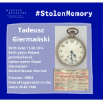 StolenMemoryGiermaski