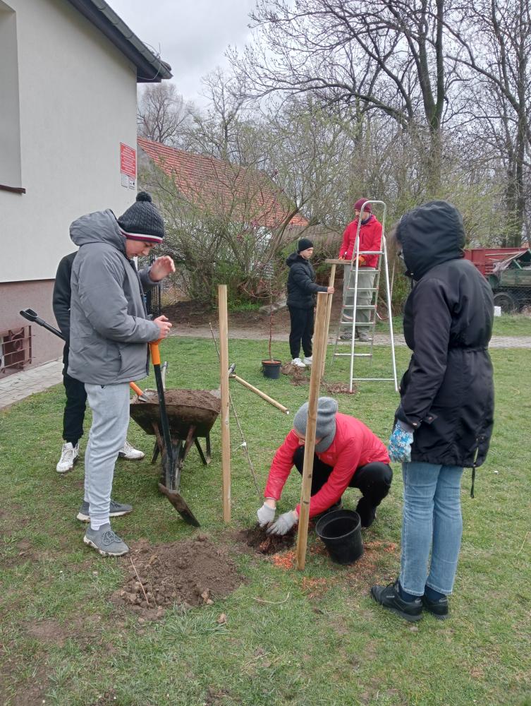 IMG20250331132422