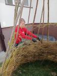 IMG20250329112427