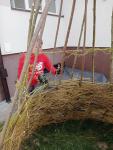 IMG20250329112428