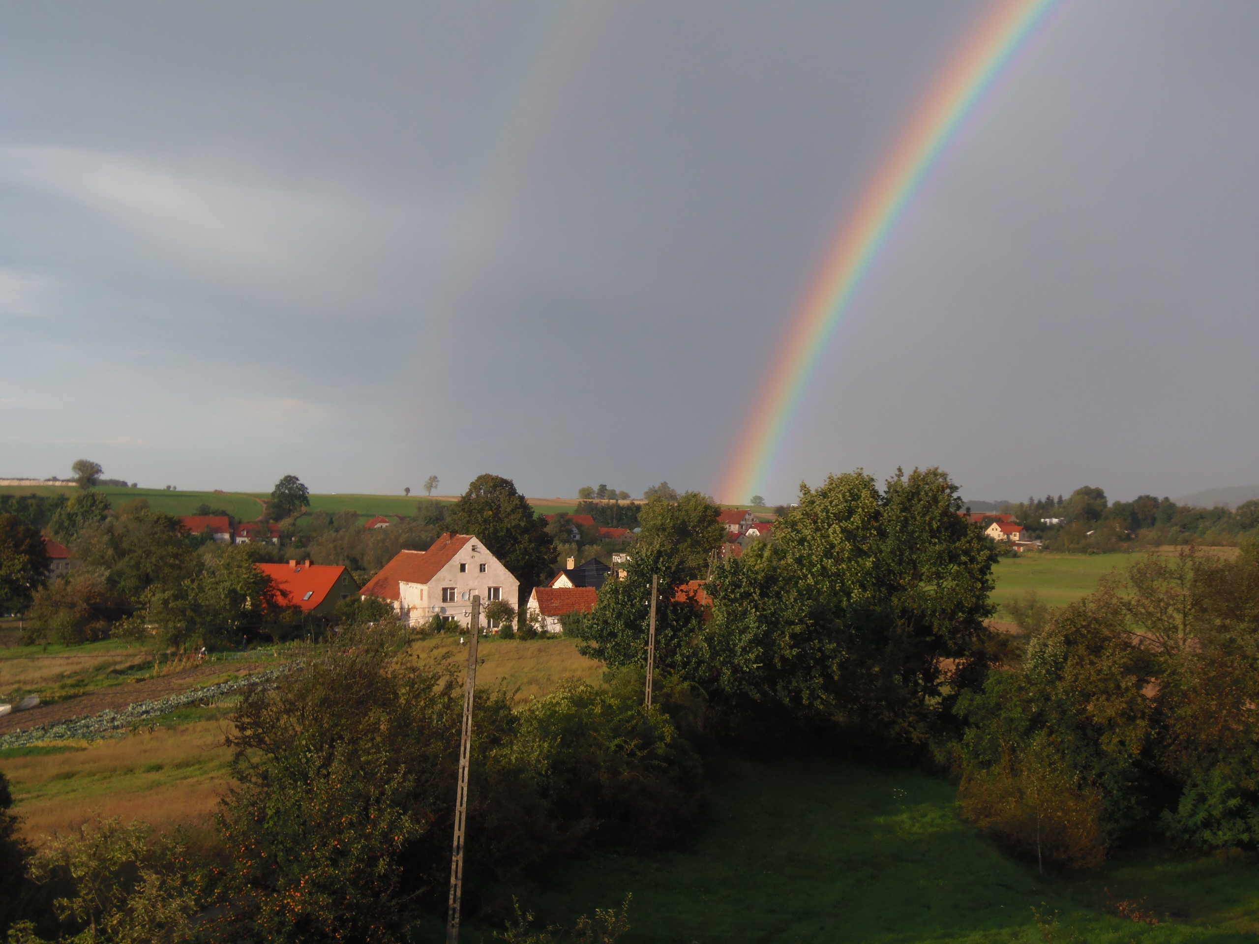 Leszno - Kaiserslautern - Odessa, October 7-12, 2023